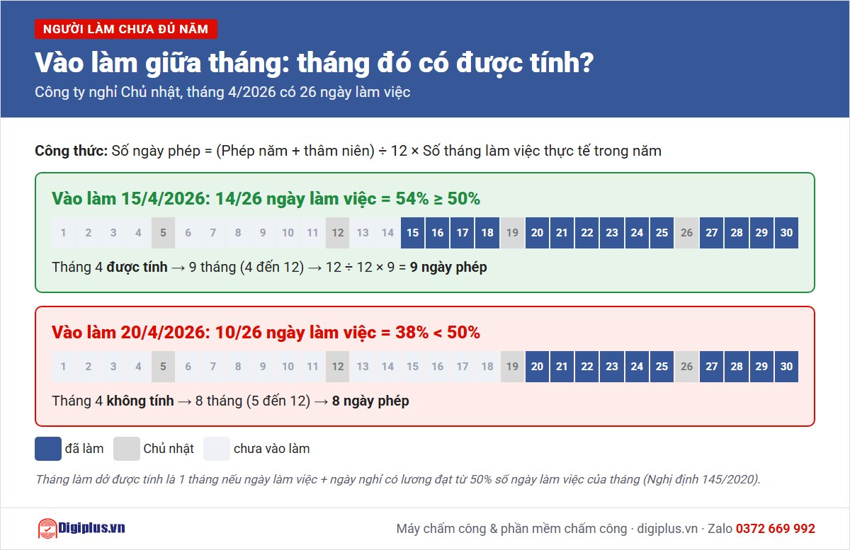 C&aacute;ch t&iacute;nh ph&eacute;p năm cho người v&agrave;o l&agrave;m giữa th&aacute;ng theo quy tắc 50%
